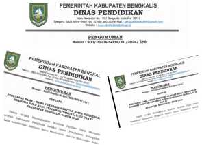Tetap Diakomodir, Disdik Bengkalis Umumkan Penerima 3 Kategori Bantuan Biaya Pendidikan Beasiswa 2024