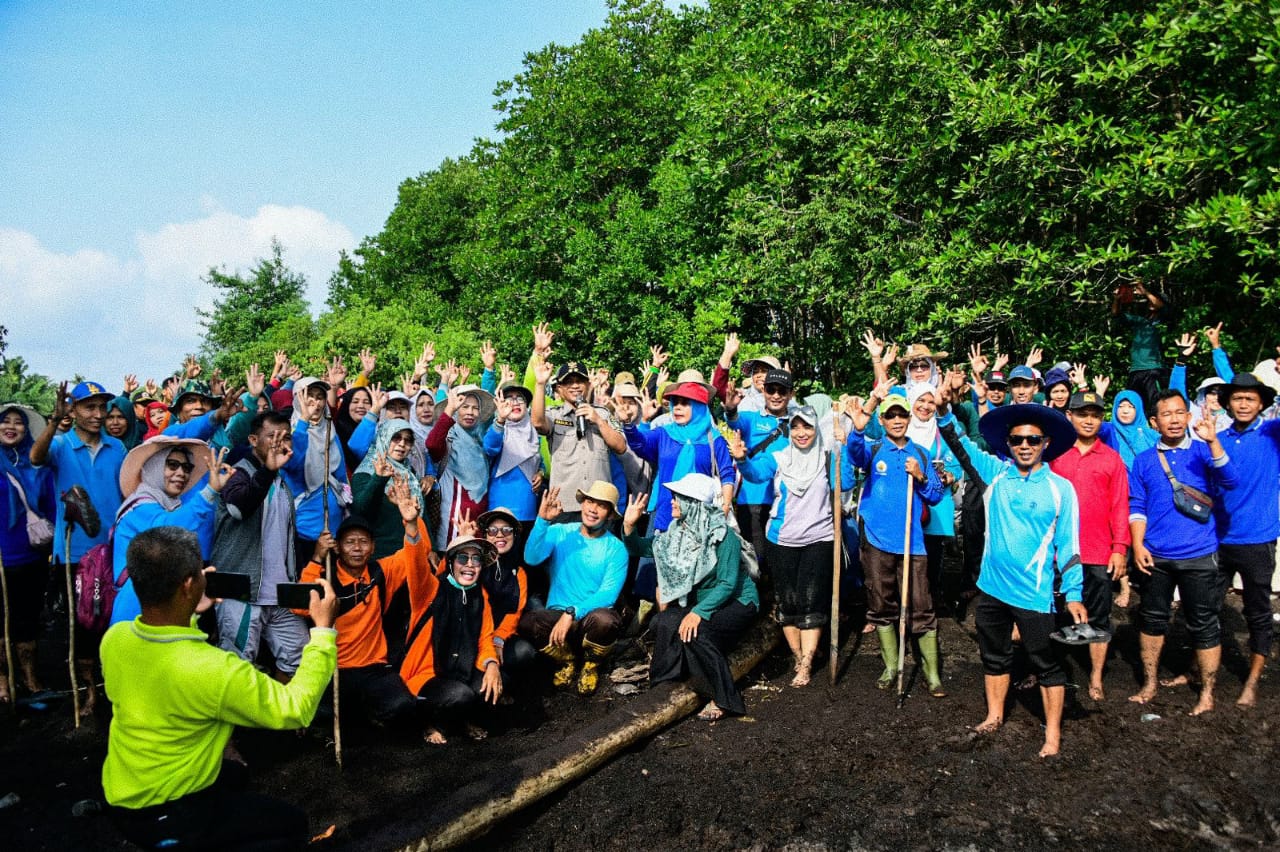 Tanam 5.000 Pohon Api-Api, Cara 500 Guru di Bengkalis dan Bantan Rayakan Hari Jadi Ke-512 Bengkalis